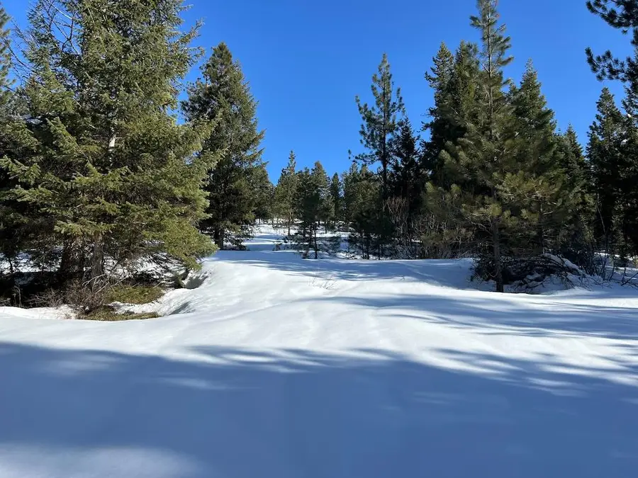 #7 Whitefield Lane, McCall, ID 83638 - #3
