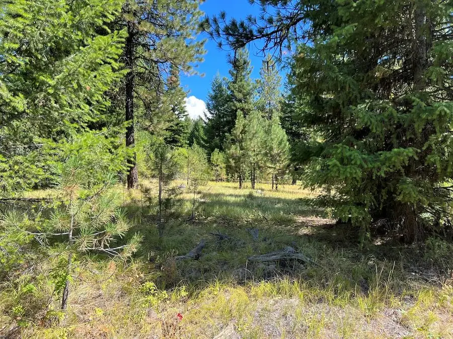 #5 Whitefield Lane, McCall, ID 83638 - #3