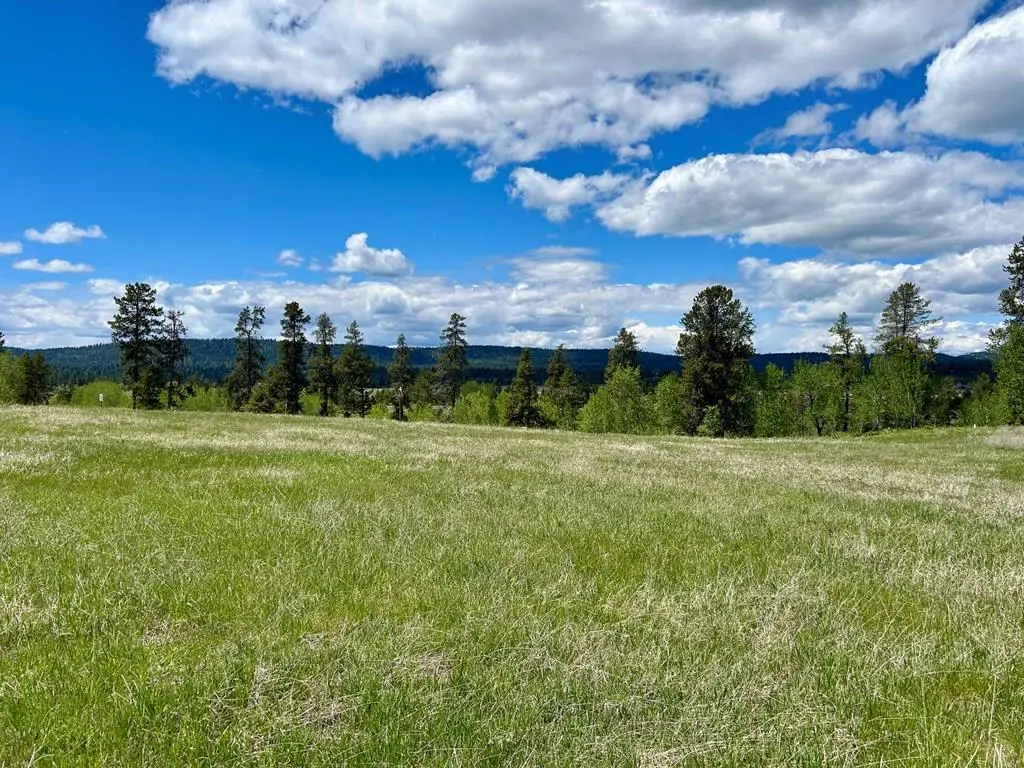 18 Wood Run Trail, McCall, ID 83638 - #1