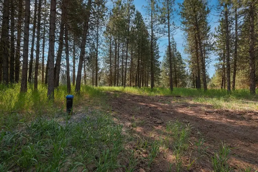 tbd Stockton Drive, McCall, ID 83638 - #3