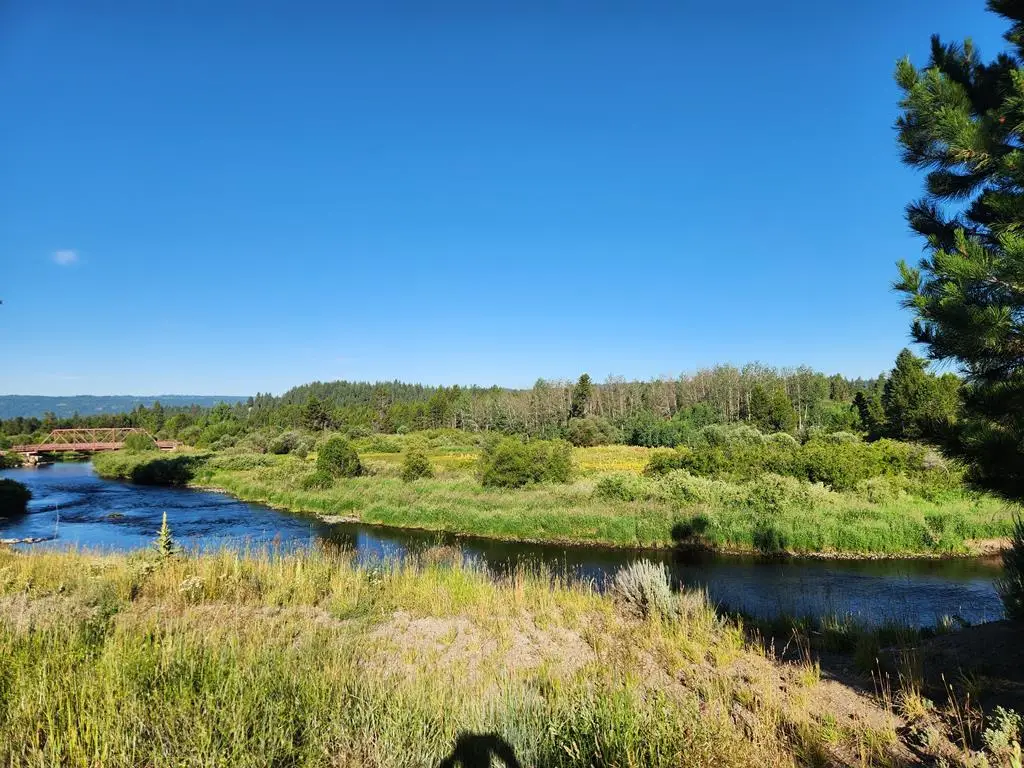 221 Morgan Drive, McCall, ID 83638 - #1