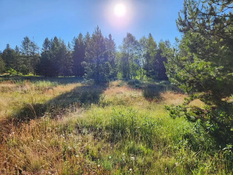 221 Morgan Drive, McCall, ID 83638 - #2