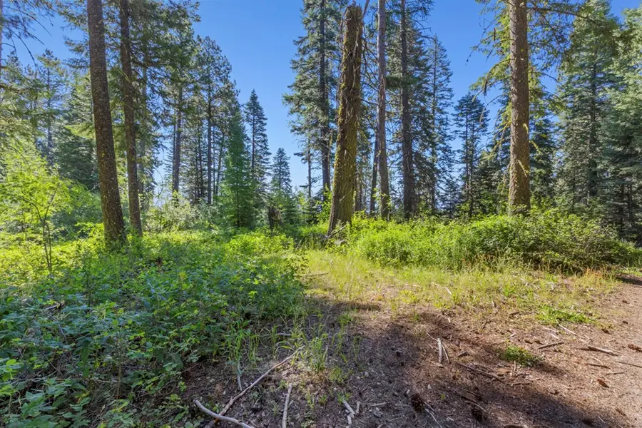 2 Arling Trail, Donnelly, ID 83615 - #2