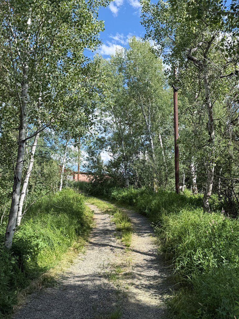 40 Blackpine Place, McCall, ID 83638 - #3