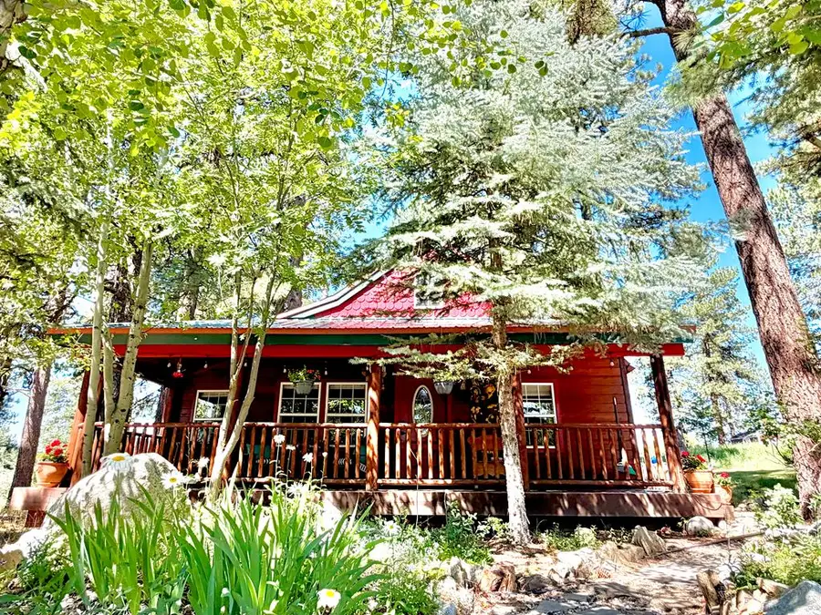 208 Thula Street, McCall, ID 83638 - #3