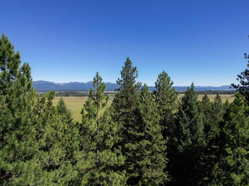 5545 Lupine Lane, McCall, ID 83638 - #1