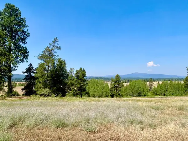 35 Wood Run Trail, McCall, ID 83638