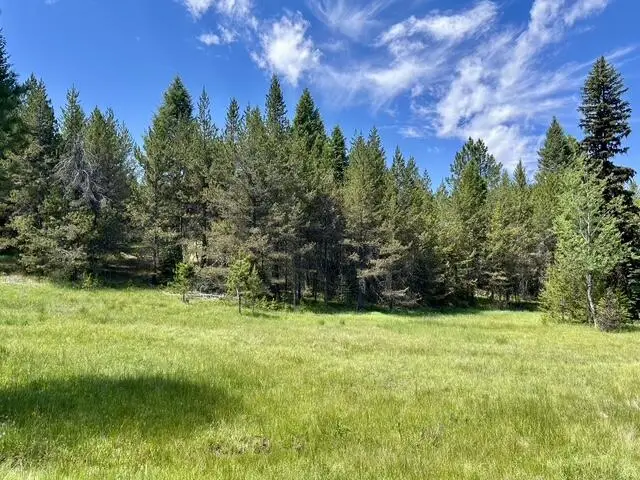 Lot 42 Sky Horse Drive, Cascade, ID 83611 - #2