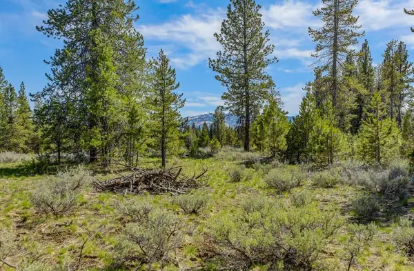 15 Eveningstar Lane, McCall, ID 83638