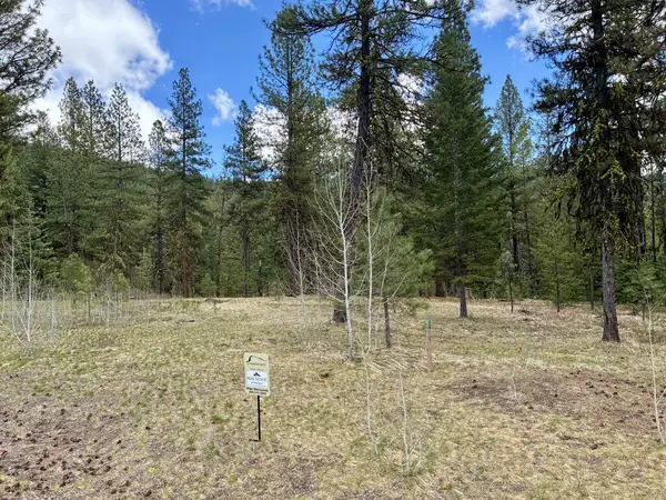 31 Vernon Court, McCall, ID 83638