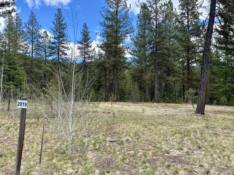 31 Vernon Court, McCall, ID 83638 - #2