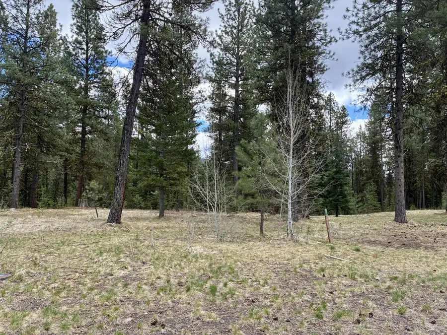 31 Vernon Court, McCall, ID 83638 - #3