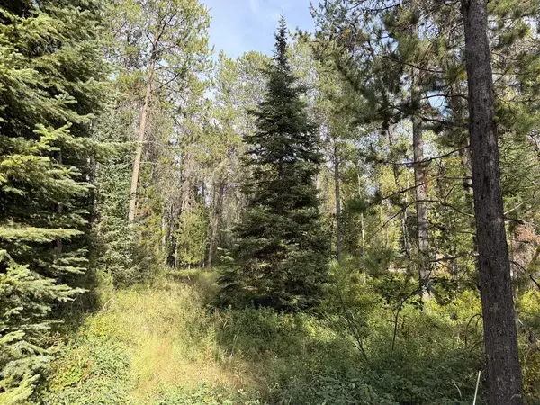 12886 Willow Road, Donnelly, ID 83615