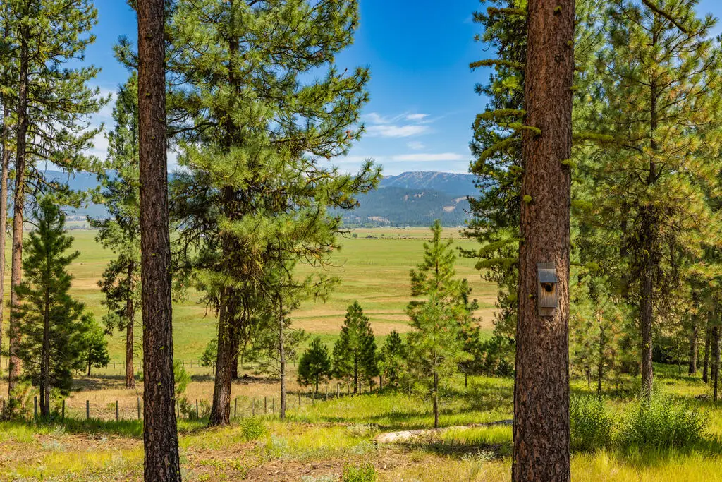 3162 Timber Ridge Drive, McCall, ID 83654 - #1