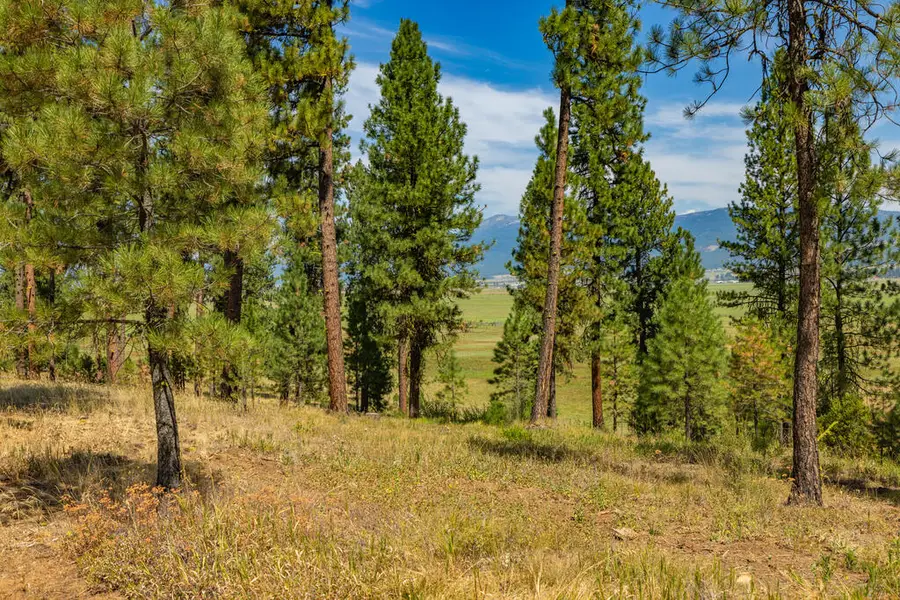 3162 Timber Ridge Drive, McCall, ID 83654 - #2