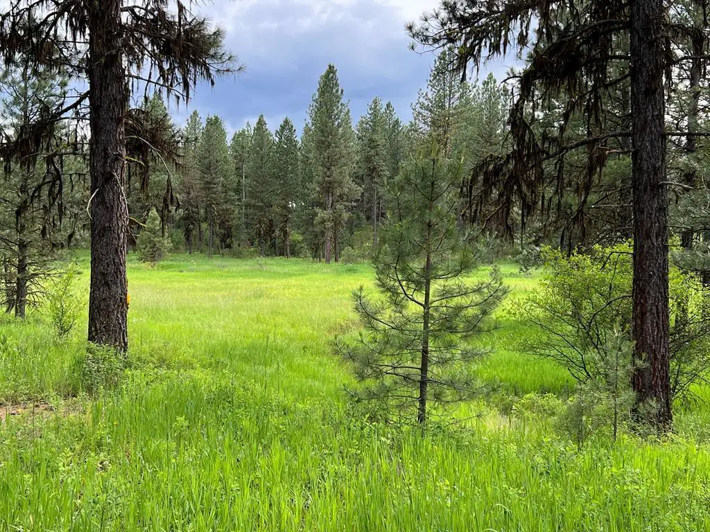 Lot 7 Timber Ridge Drive, New Meadows, ID 83654 - #1