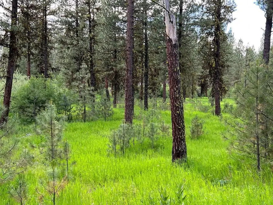 Lot 7 Timber Ridge Drive, New Meadows, ID 83654 - #2
