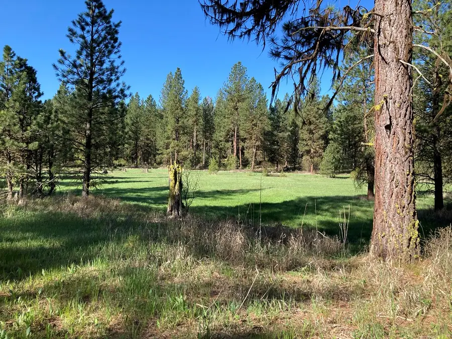 Lot 7 Timber Ridge Drive, New Meadows, ID 83654 - #3