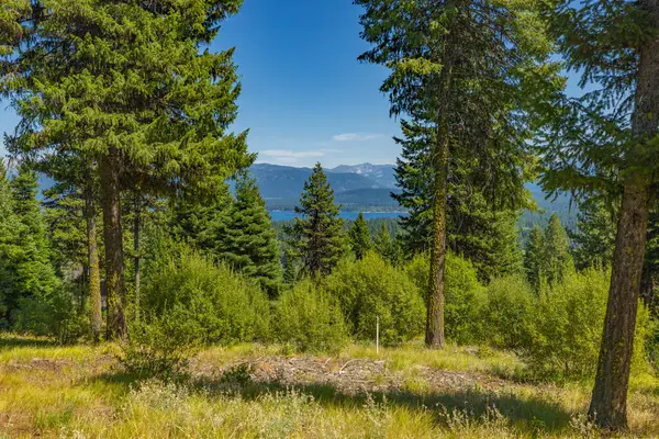 641 Migratory Ridge, McCall, ID 83638