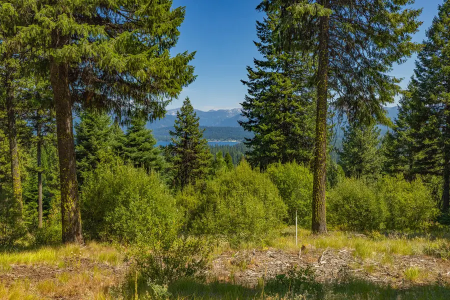 641 Migratory Ridge, McCall, ID 83638 - #2