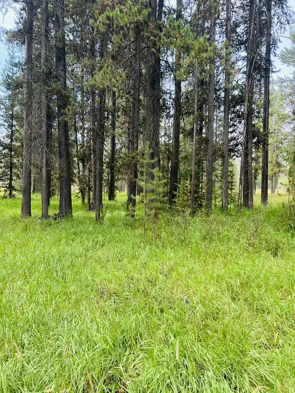 Lot9&10 Warren Wagon Road, Secesh, ID 83638