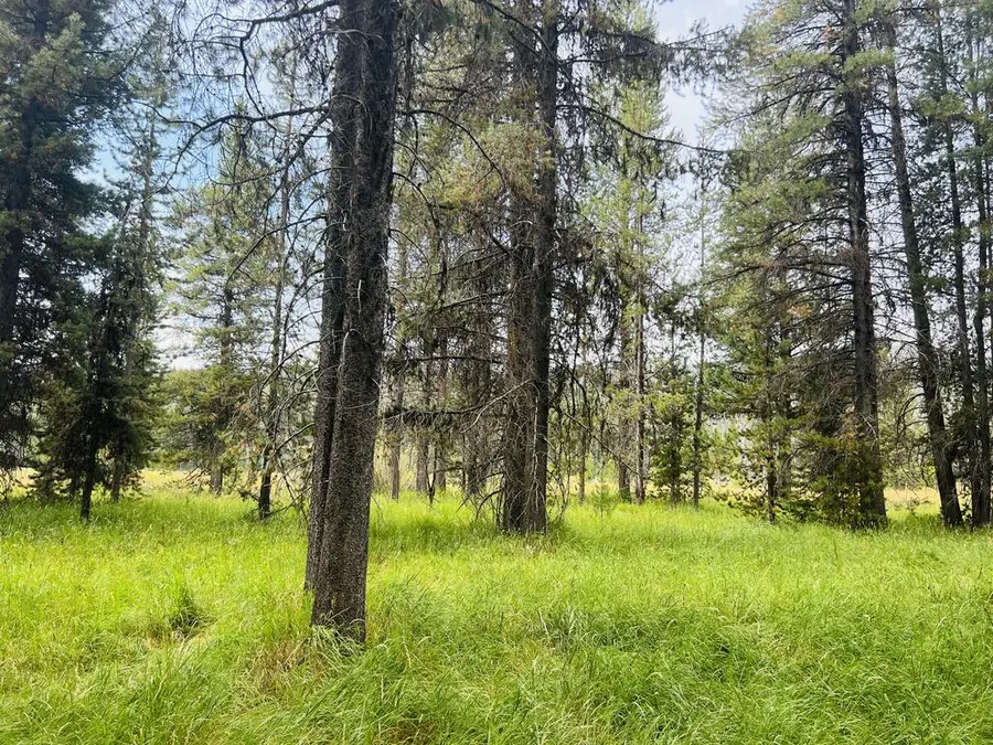 Lot9&10 Warren Wagon Road, Secesh, ID 83638 - #2