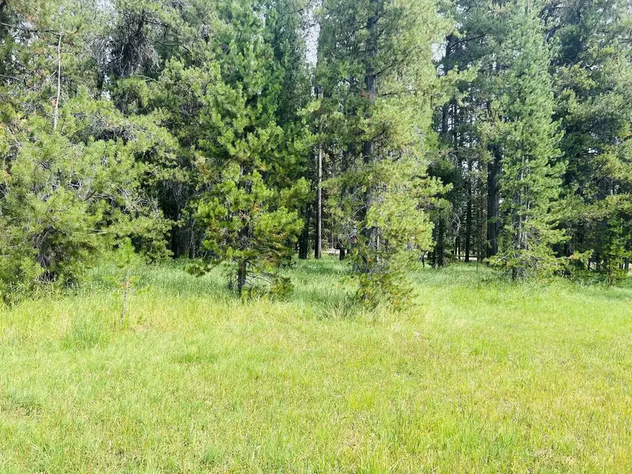 Lot9&10 Warren Wagon Road, Secesh, ID 83638 - #3