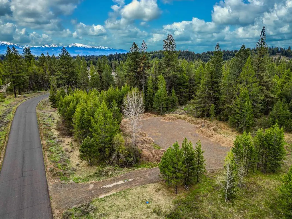 114 Fawnlilly Drive, McCall, ID 83638 - #1