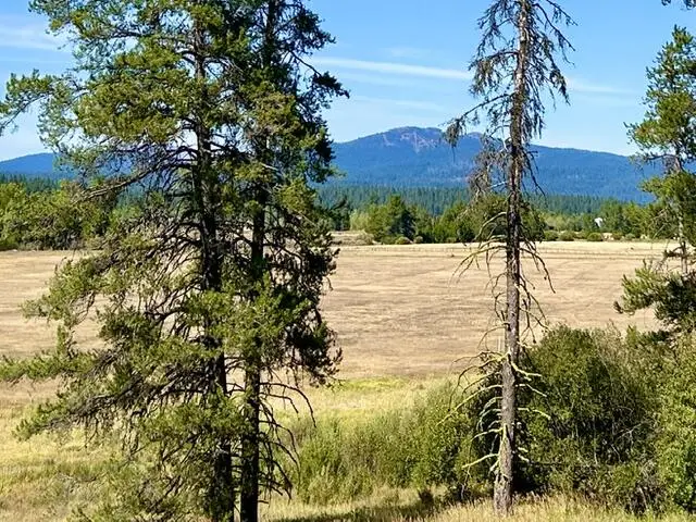 34 Wood Run Trail, McCall, ID 83638 - #1