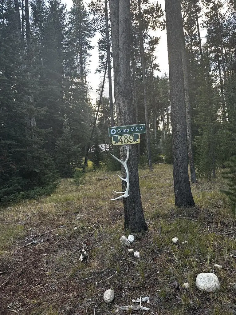 489 Secesh River Road, McCall, ID 83638 - #2