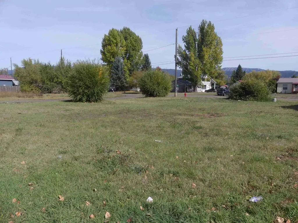 TBD Benedict Street, New Meadows, ID 83654 - #1