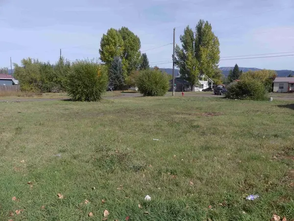 TBD Benedict Street, New Meadows, ID 83654