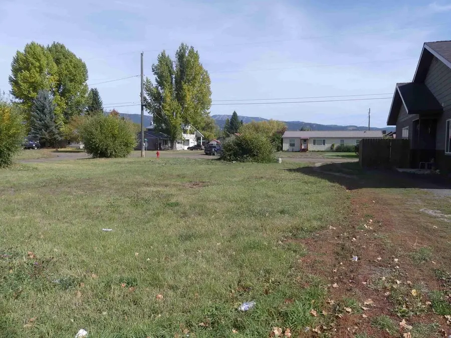 TBD Benedict Street, New Meadows, ID 83654 - #3