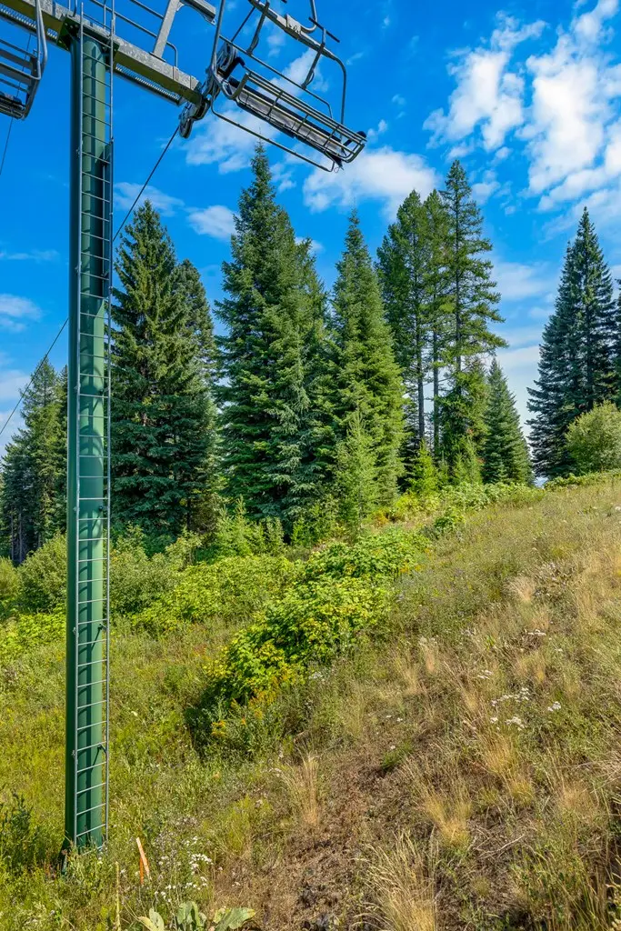 711 Whitewater Drive, Donnelly, ID 83615 - #3