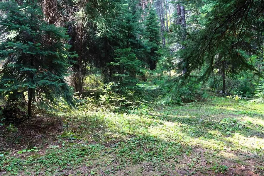 2325 West Mountain Road, Donnelly, ID 83615 - #3