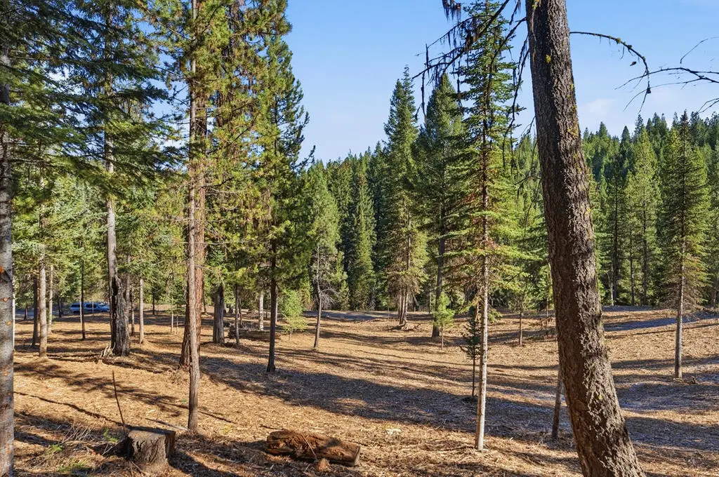 315 Clear Creek Road, Cascade, ID 83611 - #1