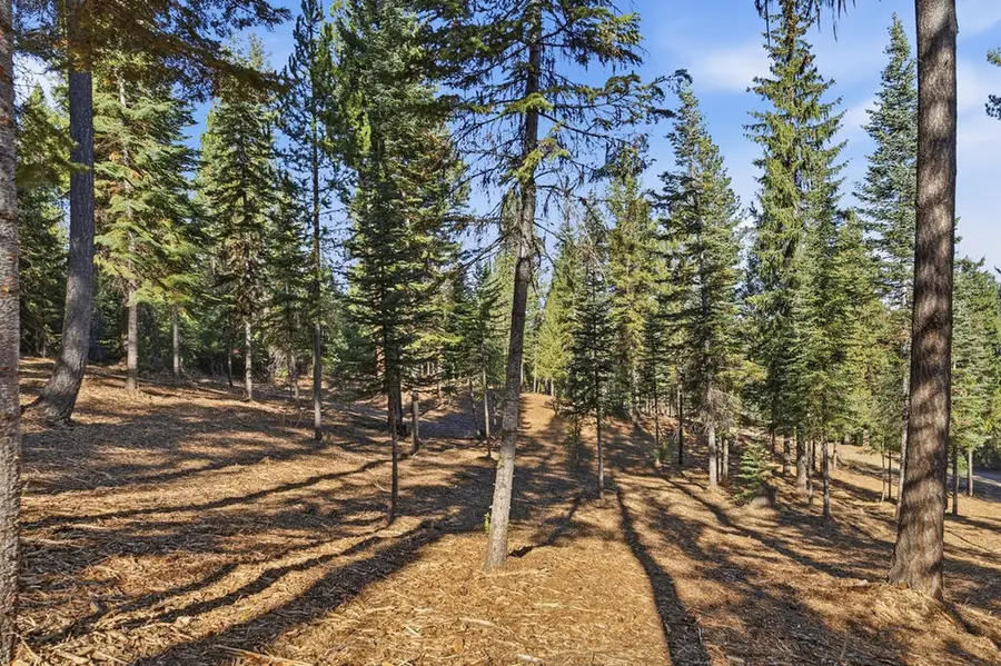 315 Clear Creek Road, Cascade, ID 83611 - #3