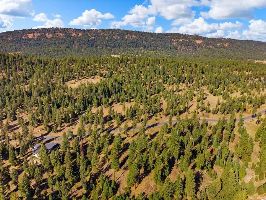 43 Bella View Drive, McCall, ID 83638 - #3