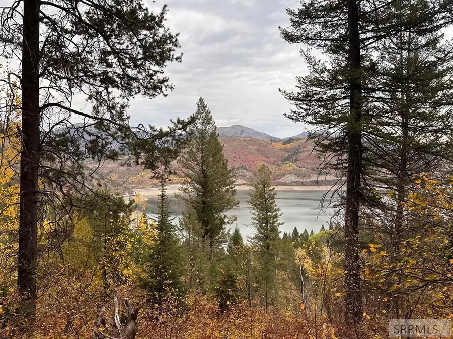 6 Upper Coyote Hollow, Irwin, ID 83428 - Image #3