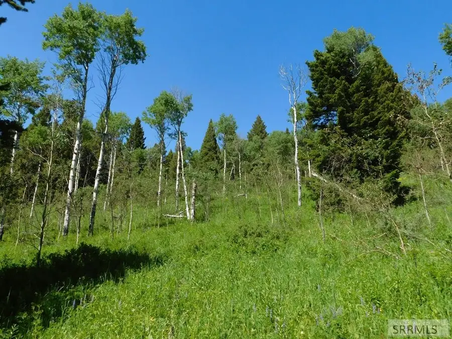 4907 Shadow Wood, Island Park, ID 83429 - Image #2