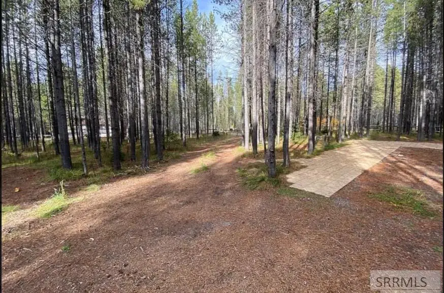 4042 Marlin Drive, Island Park, ID 83429 - Image #3