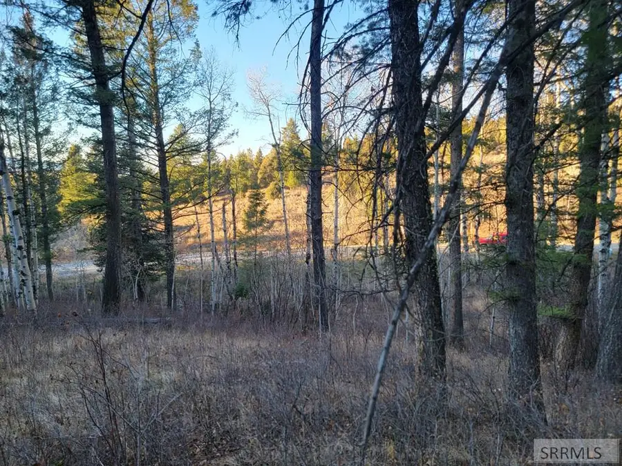 L13B2 Cutthroat Run, Irwin, ID 83428 - Image #2