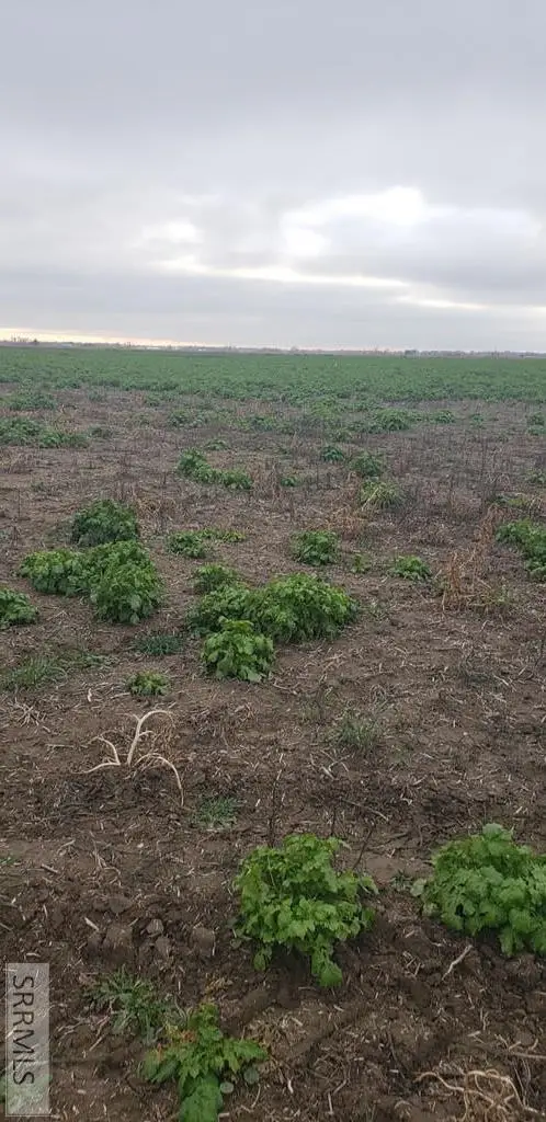 Lot 1 3800 S, Rexburg, ID 83440 - Image #2