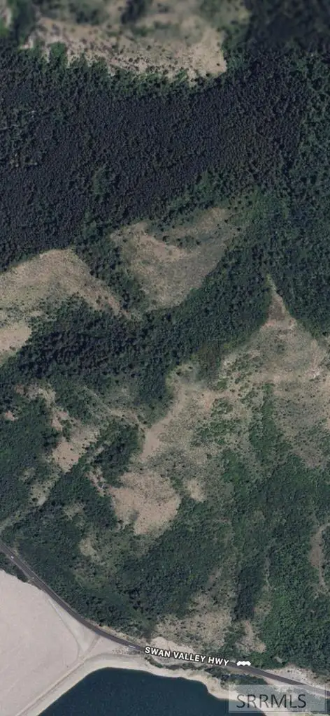 TBD Swan Valley Hwy, Irwin, ID 83428 - Image #1