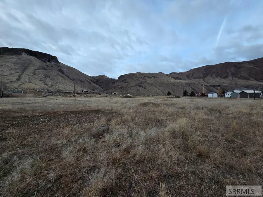 NKN Sage Hen Rd, Salmon, ID 83467 - #3