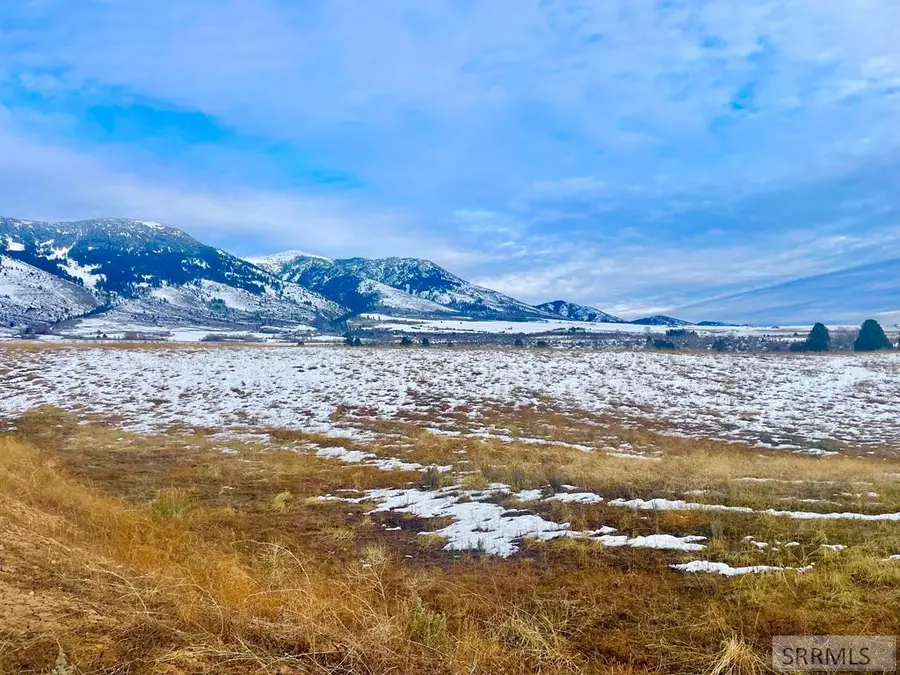 775 Grey Fox Loop, Inkom, ID 83245 - #3