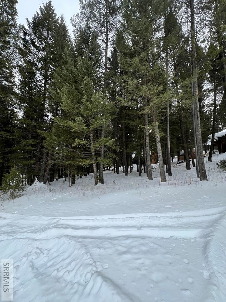 4092 Cedar Street, Island Park, ID 83429 - #2