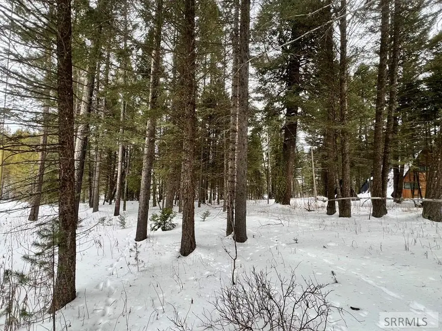 4092 Cedar Street, Island Park, ID 83429 - #3