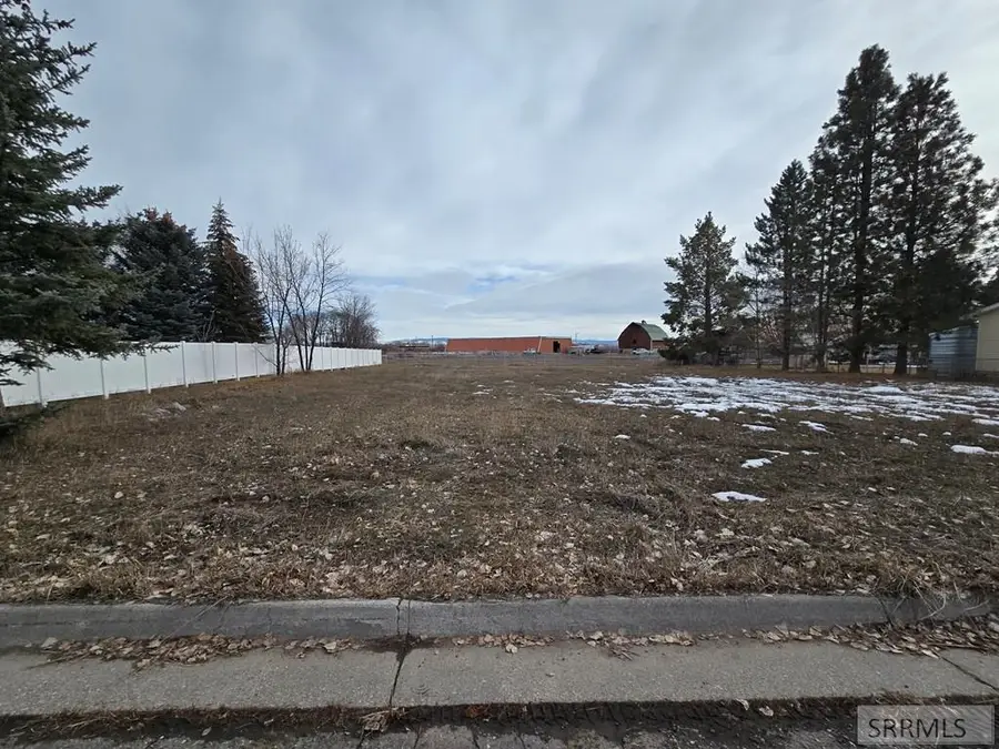 Appx 730 Radio Road, Saint Anthony, ID 83445 - #3