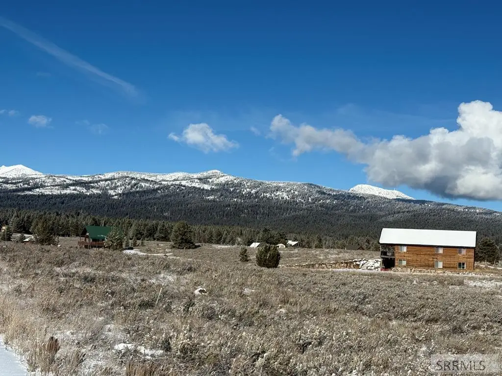 3990 David Drive, Island Park, ID 83429 - #1